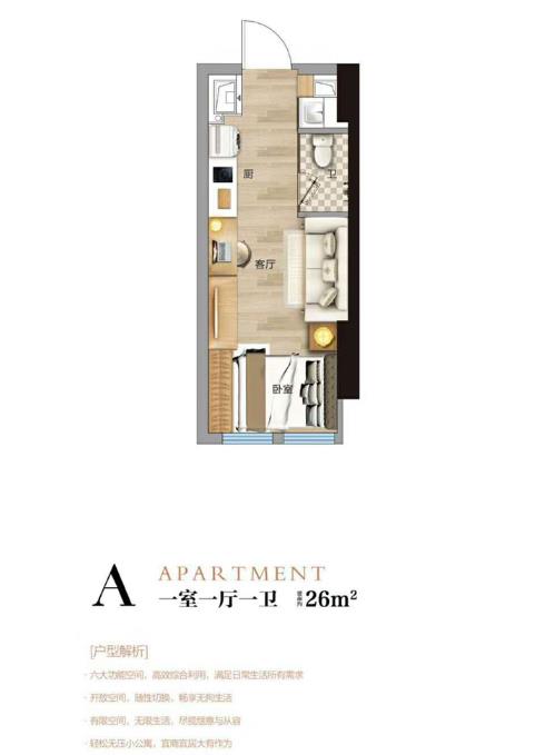 精装平层公寓A户型-1室1厅1卫 